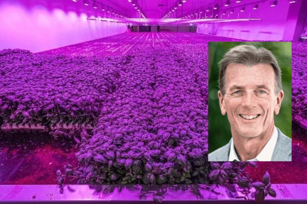 Kalera Announces First Harvest of Lettuce & Microgreens at New Denver Vertical Farm