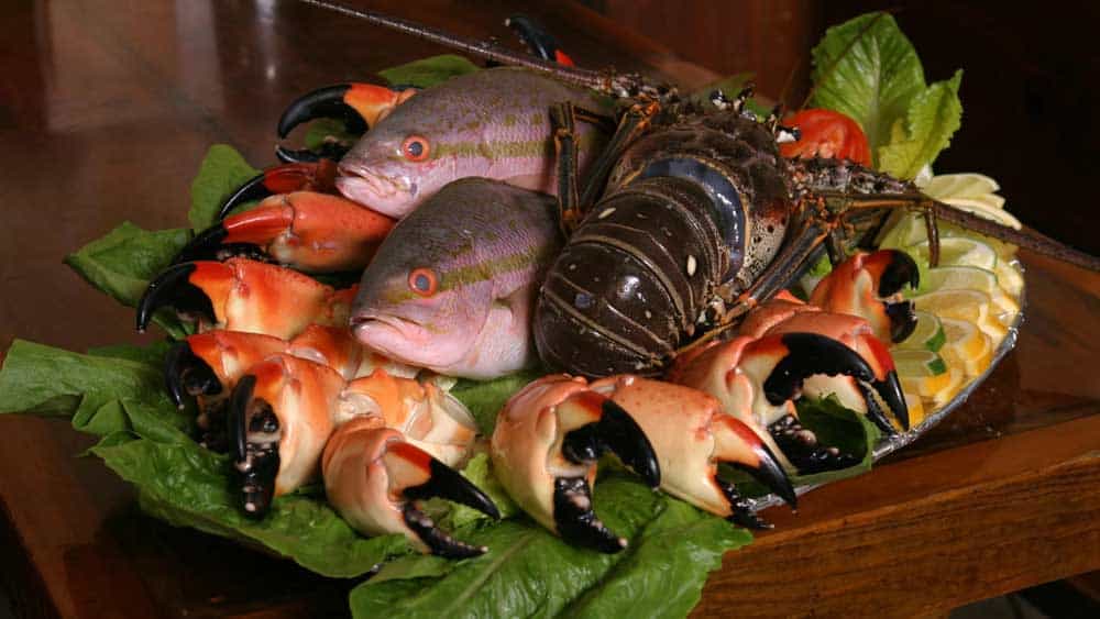 Garcia Sea Food