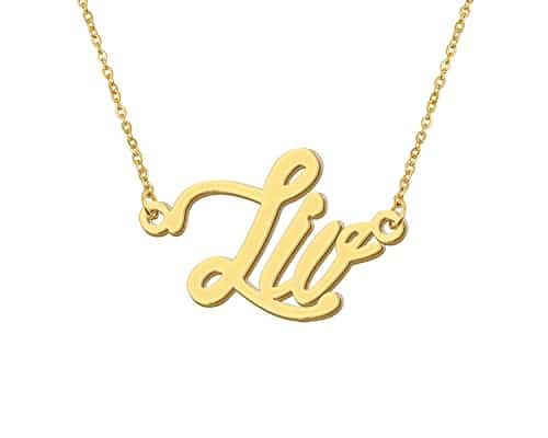 Aoloshow Liv Gold Name Necklace Charm Name Tags Necklace Womens Jewelry Christmas Gift