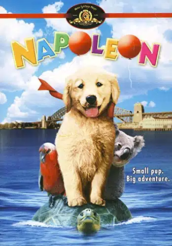 Napoleon [DVD]
