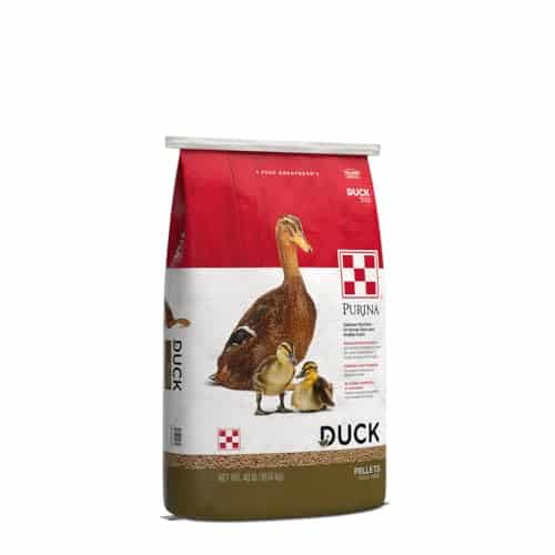 Purina Animal Nutrition Duck Feed Pellets lb NA LB
