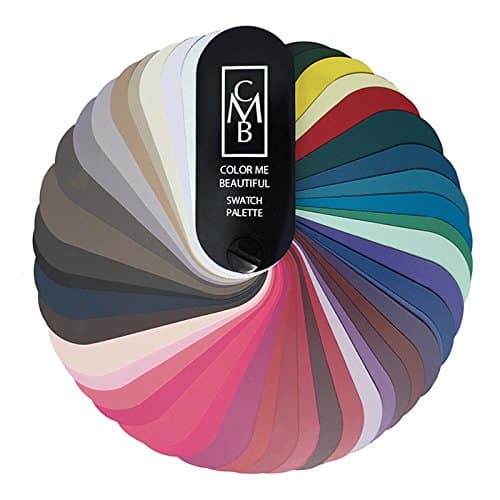 Color Me Beautiful Winter Swatch Fan ()