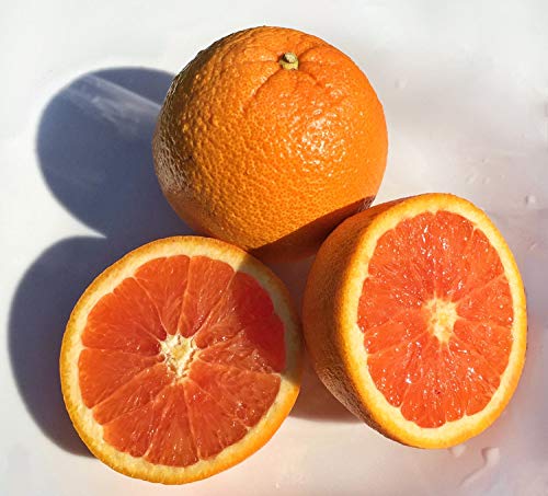 Kejora Fresh Cara Cara Oranges lb   IN SEASON