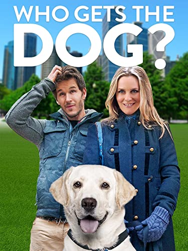 Who Gets The Dog