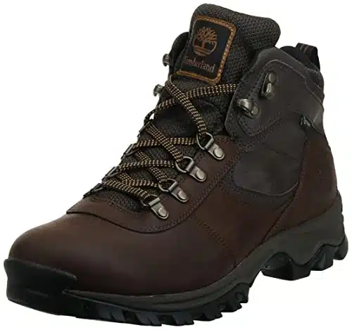 Timberland Men's Anti Fatigue Hiking Waterproof Leather Mt. Maddsen Boot, Brown,