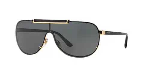 Versace Sunglasses VE BLACK VE
